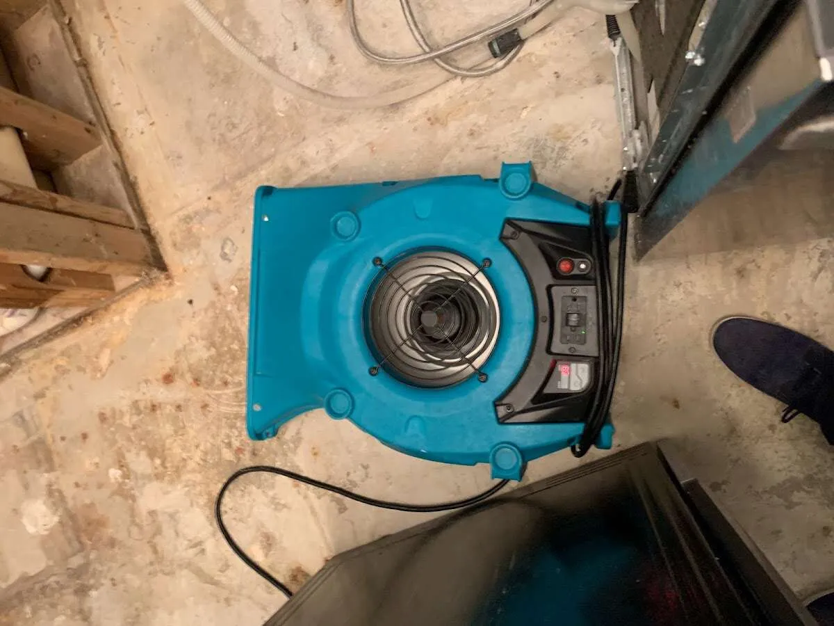 Air mover drying equipment for Mold Remediation & Removal in Arden Hills
